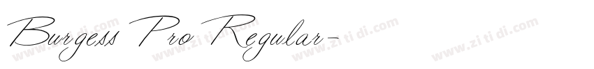 Burgess Pro Regular字体转换